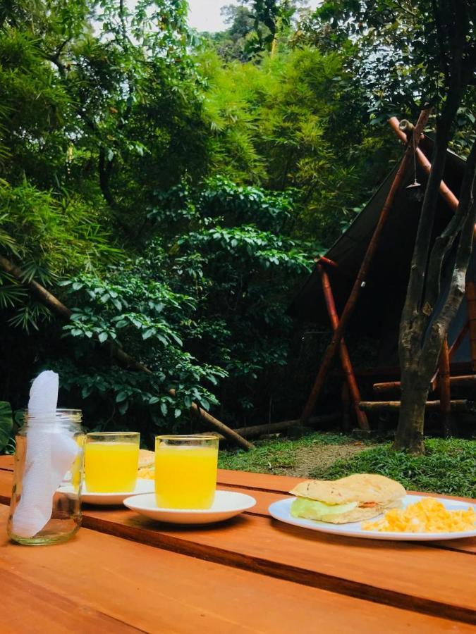 Bambu Glamping Ecolodge เมเดยิน ภายนอก รูปภาพ