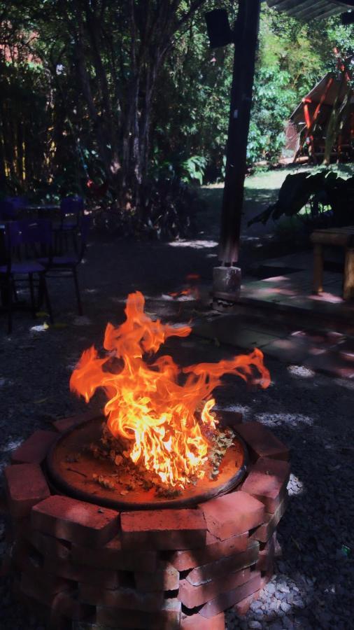 Bambu Glamping Ecolodge เมเดยิน ภายนอก รูปภาพ