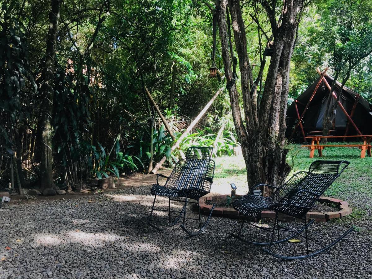 Bambu Glamping Ecolodge เมเดยิน ภายนอก รูปภาพ