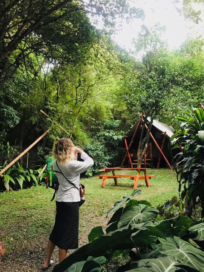 Bambu Glamping Ecolodge เมเดยิน ภายนอก รูปภาพ