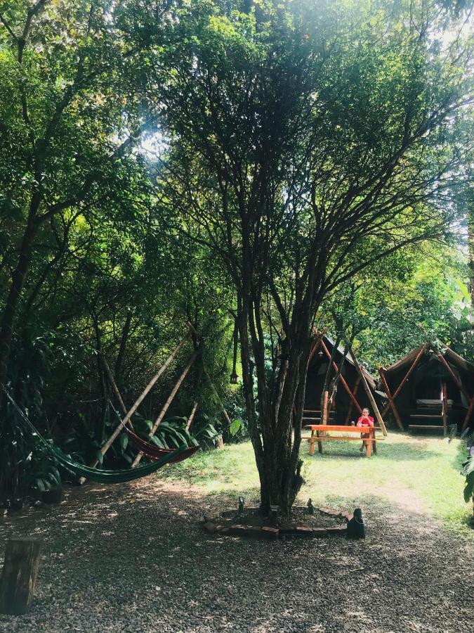 Bambu Glamping Ecolodge เมเดยิน ภายนอก รูปภาพ