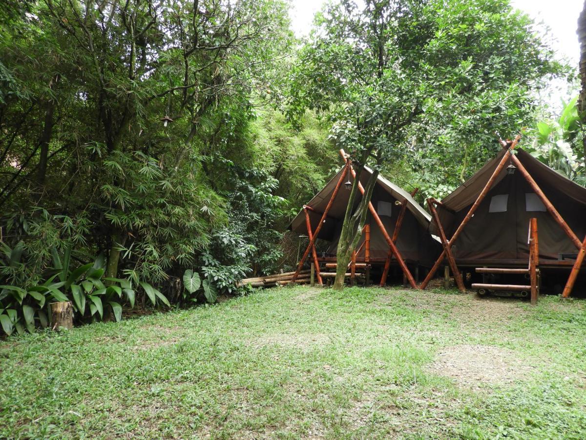Bambu Glamping Ecolodge เมเดยิน ภายนอก รูปภาพ